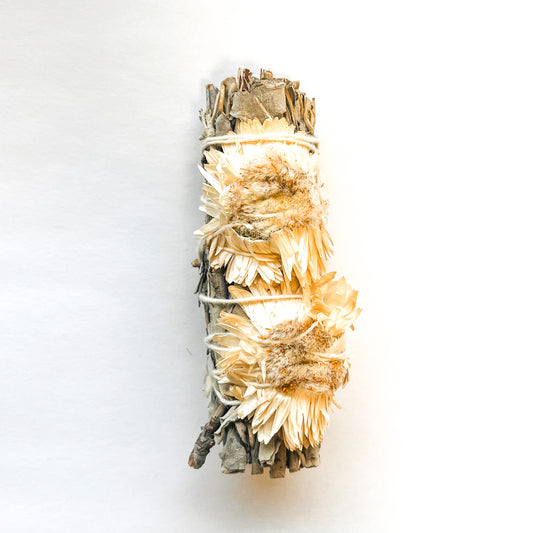 Albino Sunflower + Sage Bundle